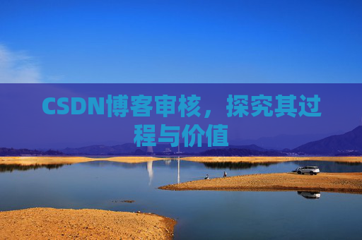 CSDN博客审核，探究其过程与价值
